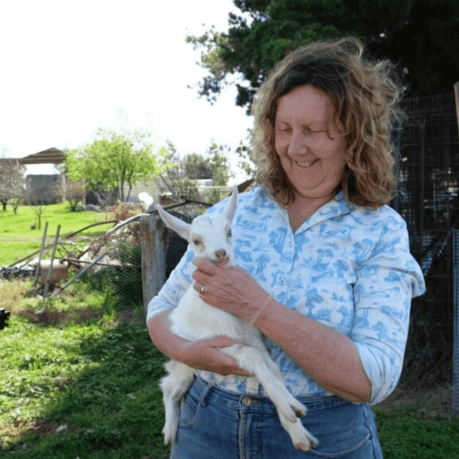 Woman holding a lamb during farm visit