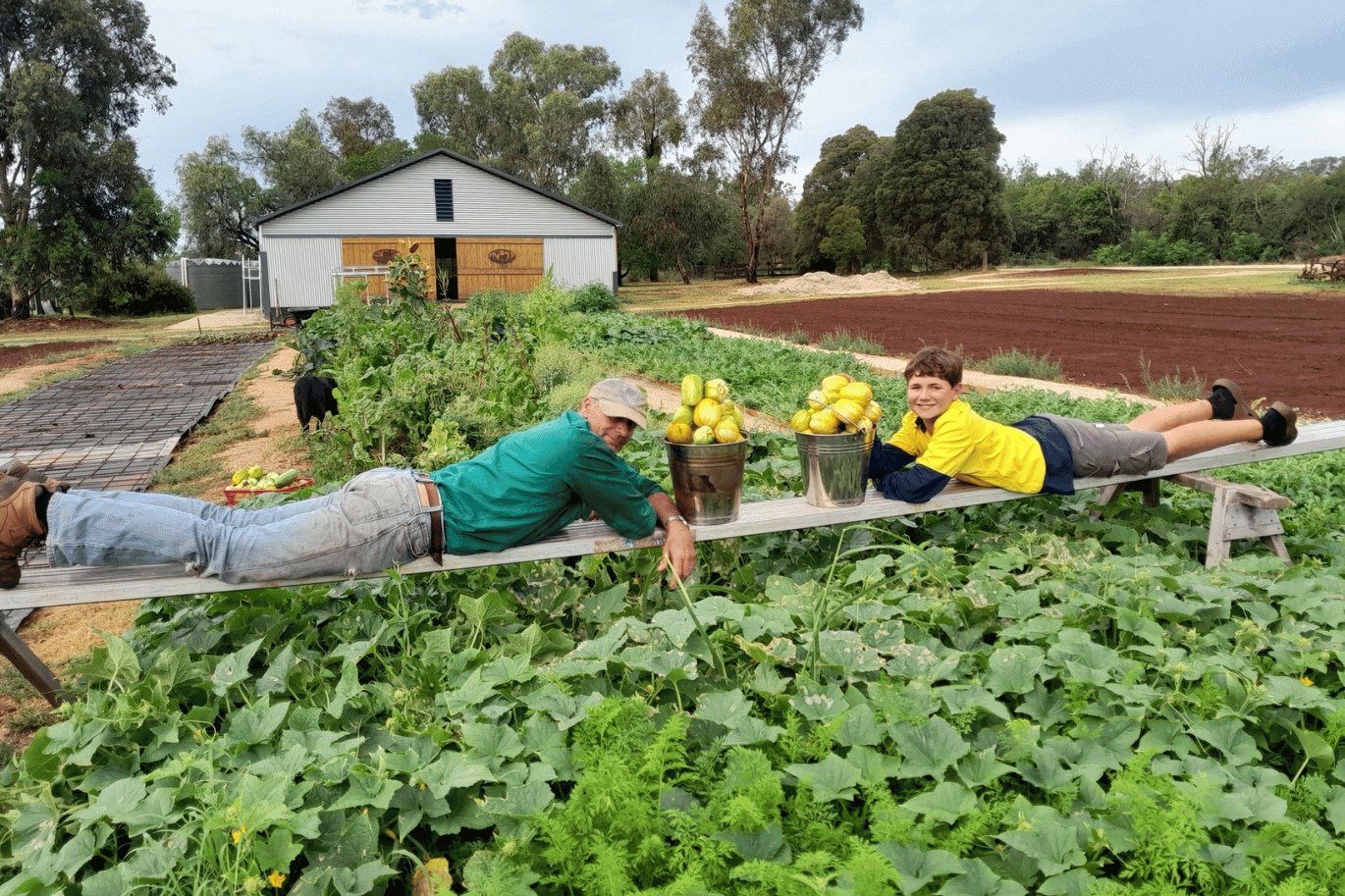 Family working together in the Evergrow farm vegetable garden surrounded by fresh green crops