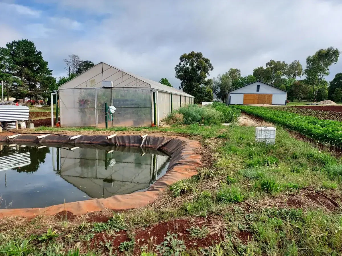 Kids Birthday Parties at Evergrow Farm