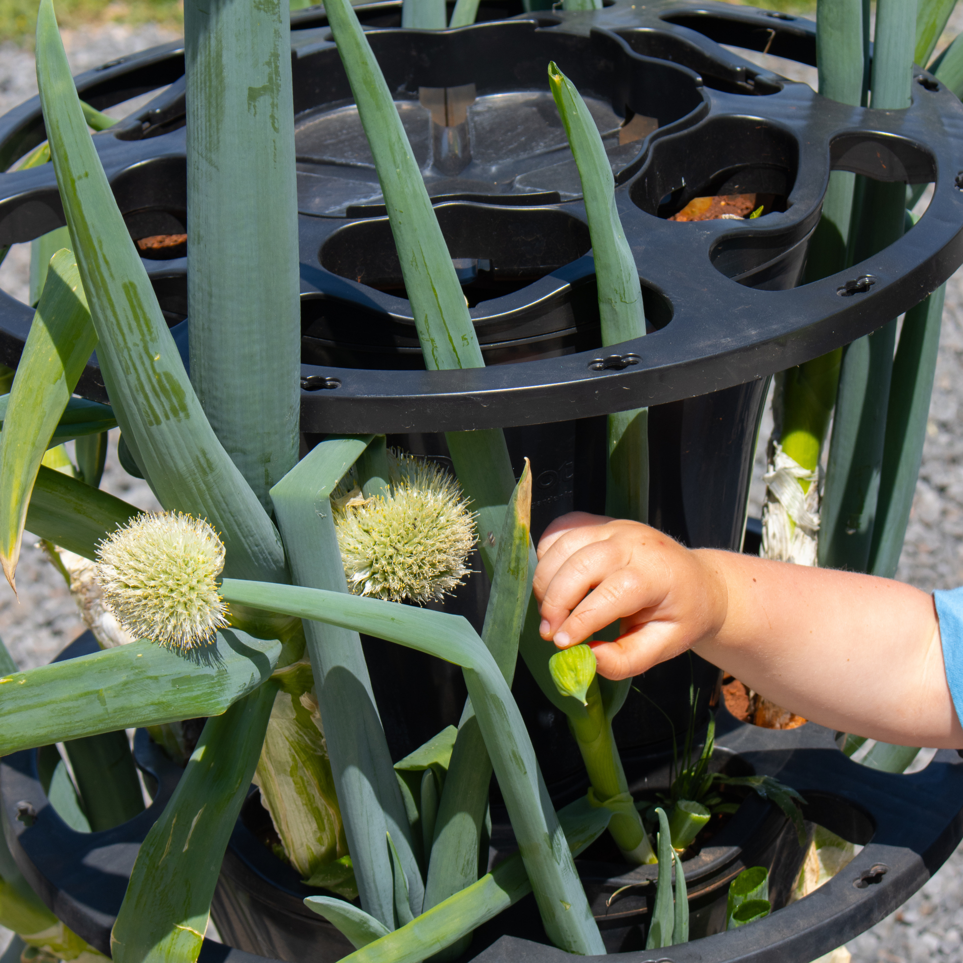 VERTI-POTS™ Vertical Garden Towers