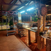 Christmas Party Bookings