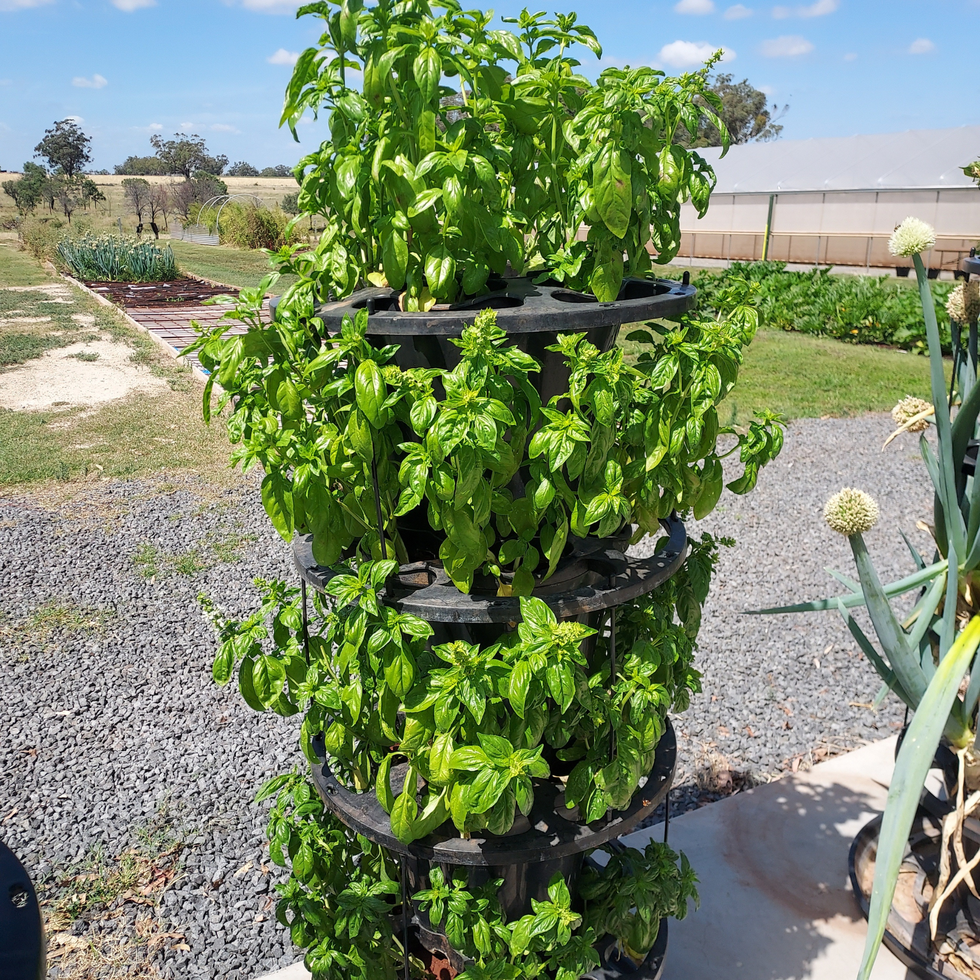 VERTI-POTS™ Vertical Growing Towers