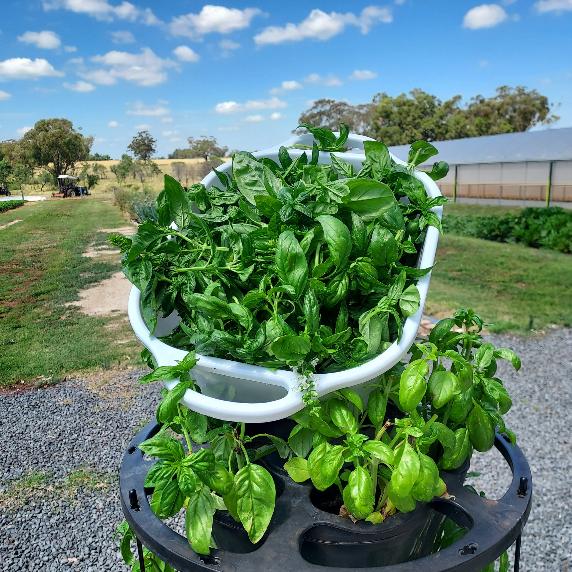 VERTI-POTS™ Vertical Growing Towers