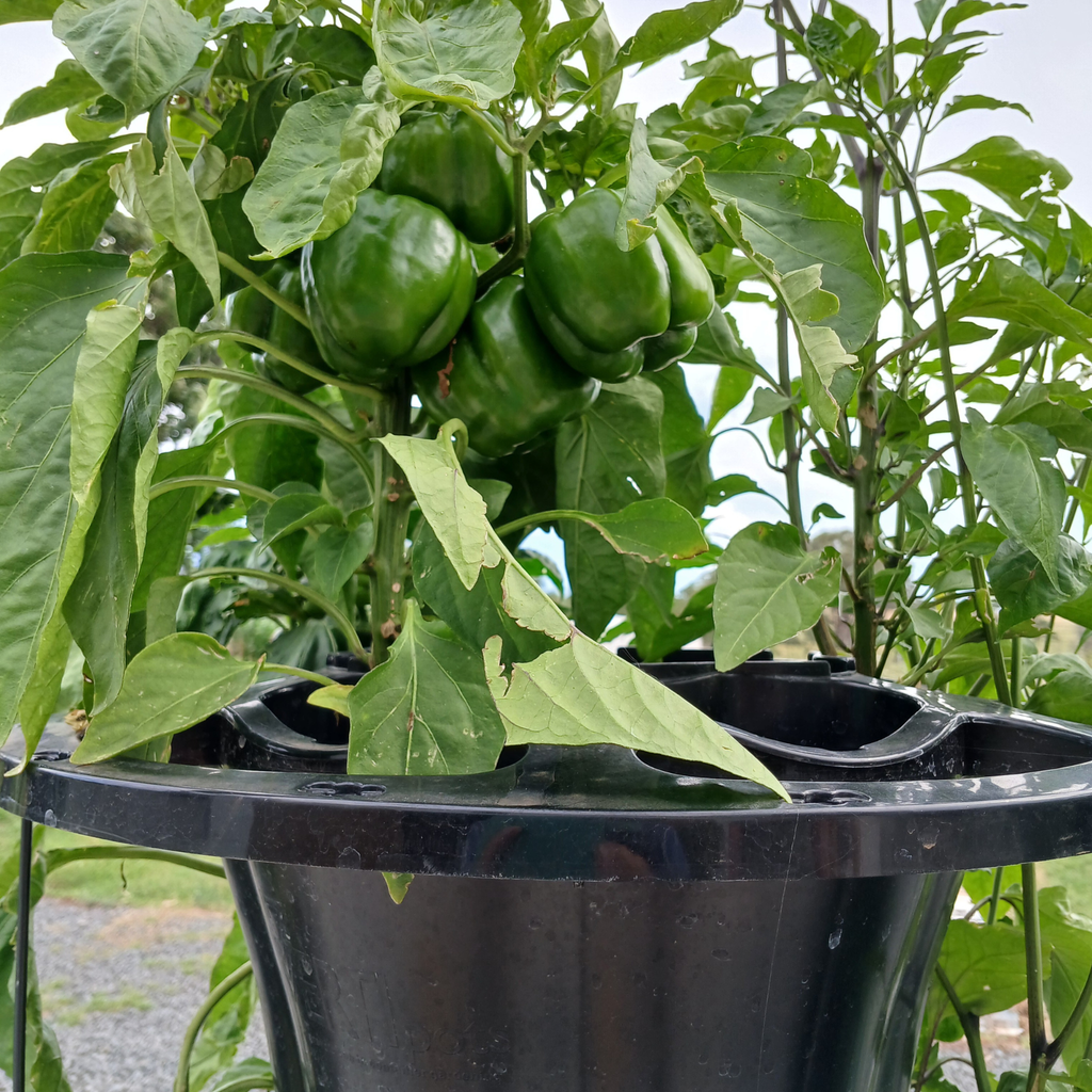 VERTI-POTS™ Vertical Growing Towers