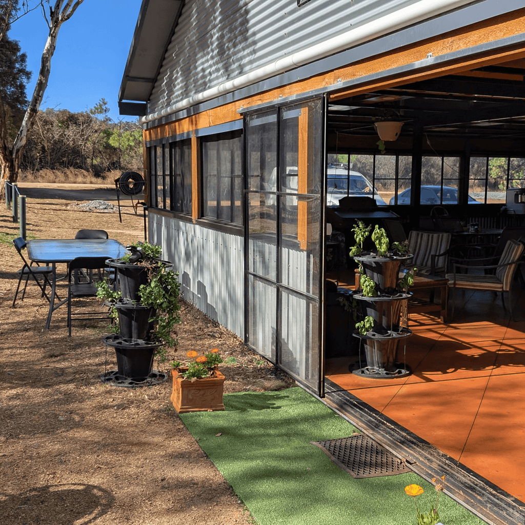 Farm café entrance with greenery around the building