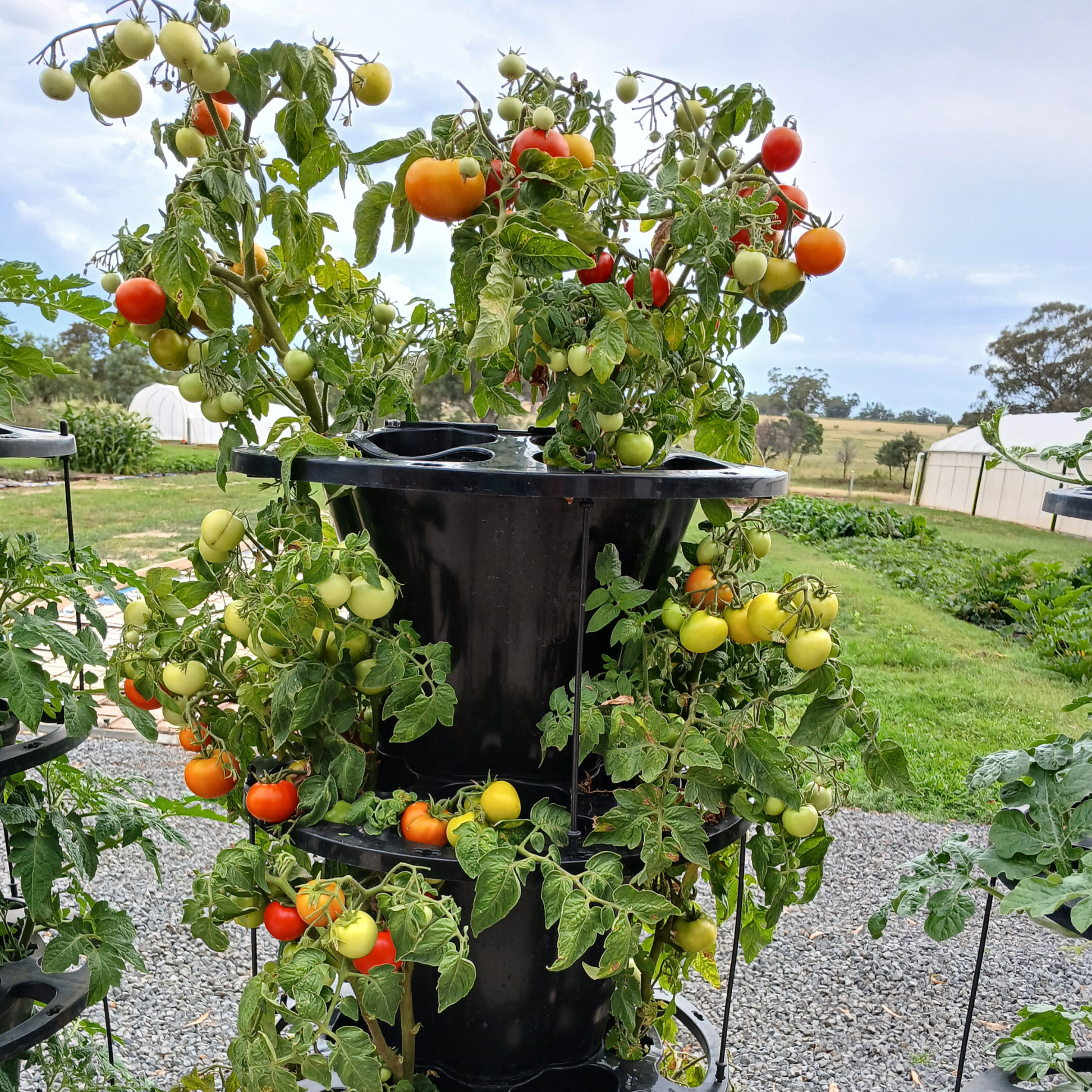 VERTI-POTS™ Vertical Growing Towers