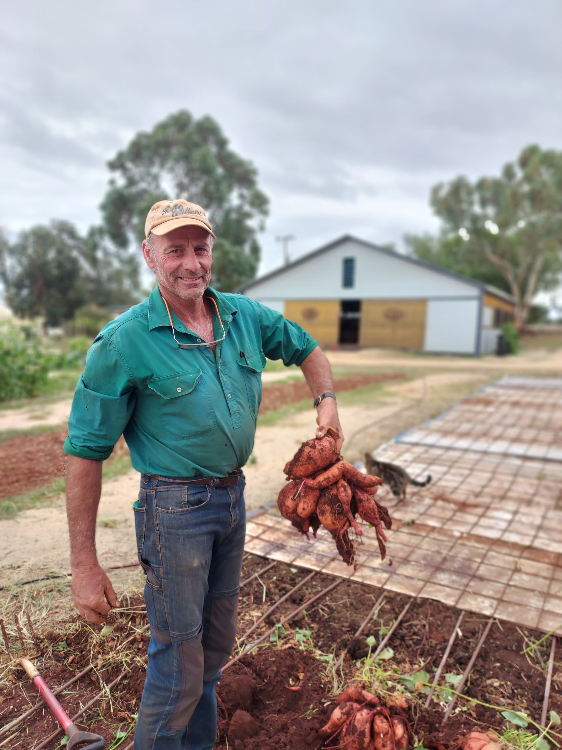 An Introduction To Productive Australian Homesteading