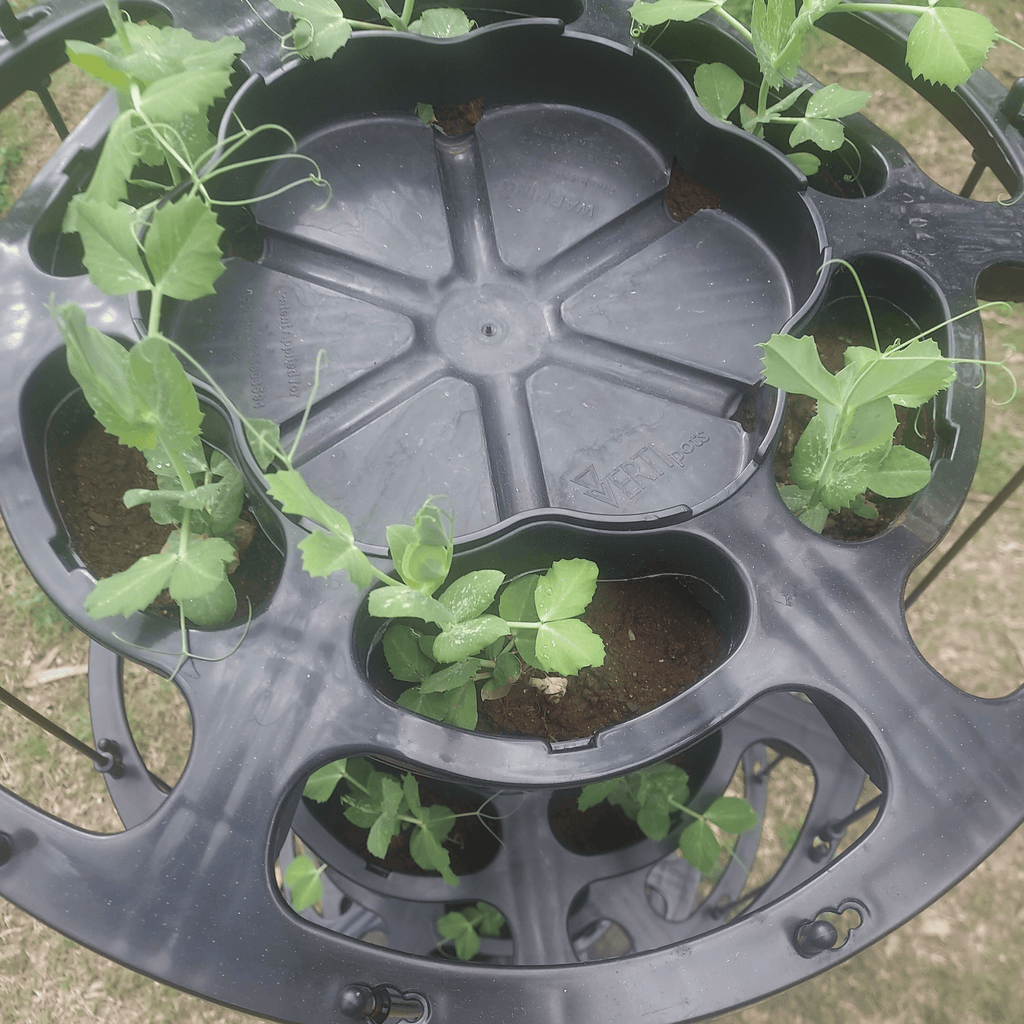 VERTI-POTS 3-tier vertical garden tower top view showing seedlings growing in multiple planting pockets