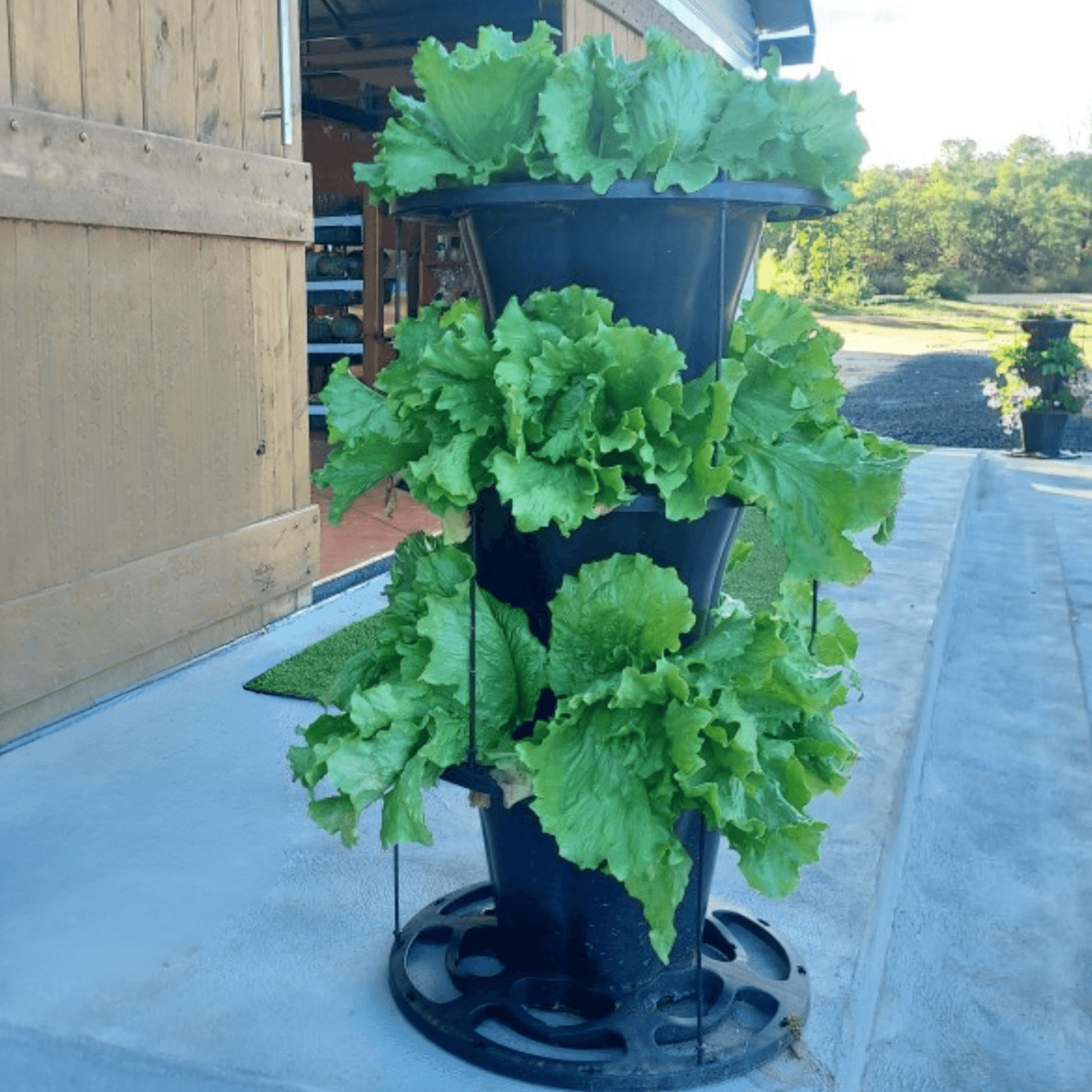 VERTI-POTS 3-tier vertical garden tower filled with fresh leafy greens growing outdoors