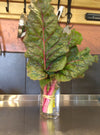Spinach- Rainbow Chard