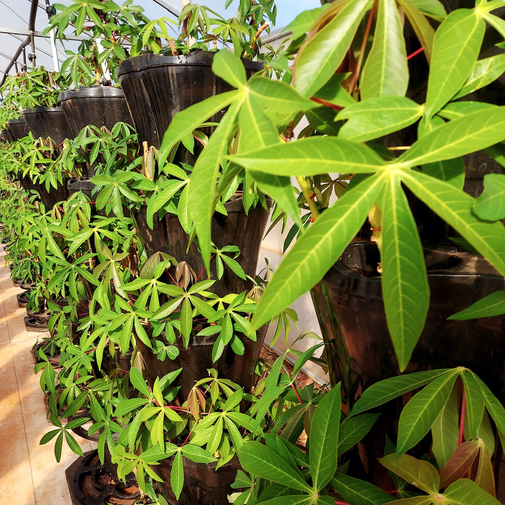 VERTI-POTS™ Vertical Growing Towers