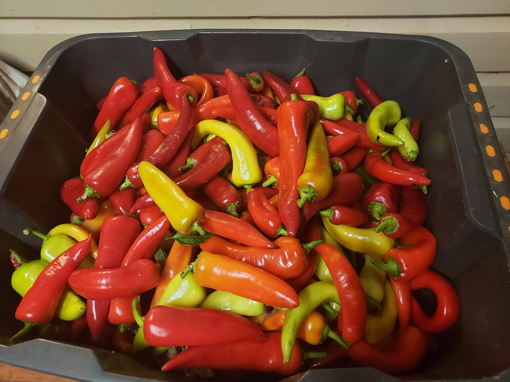 Organic Sweet Capsicum per 100g