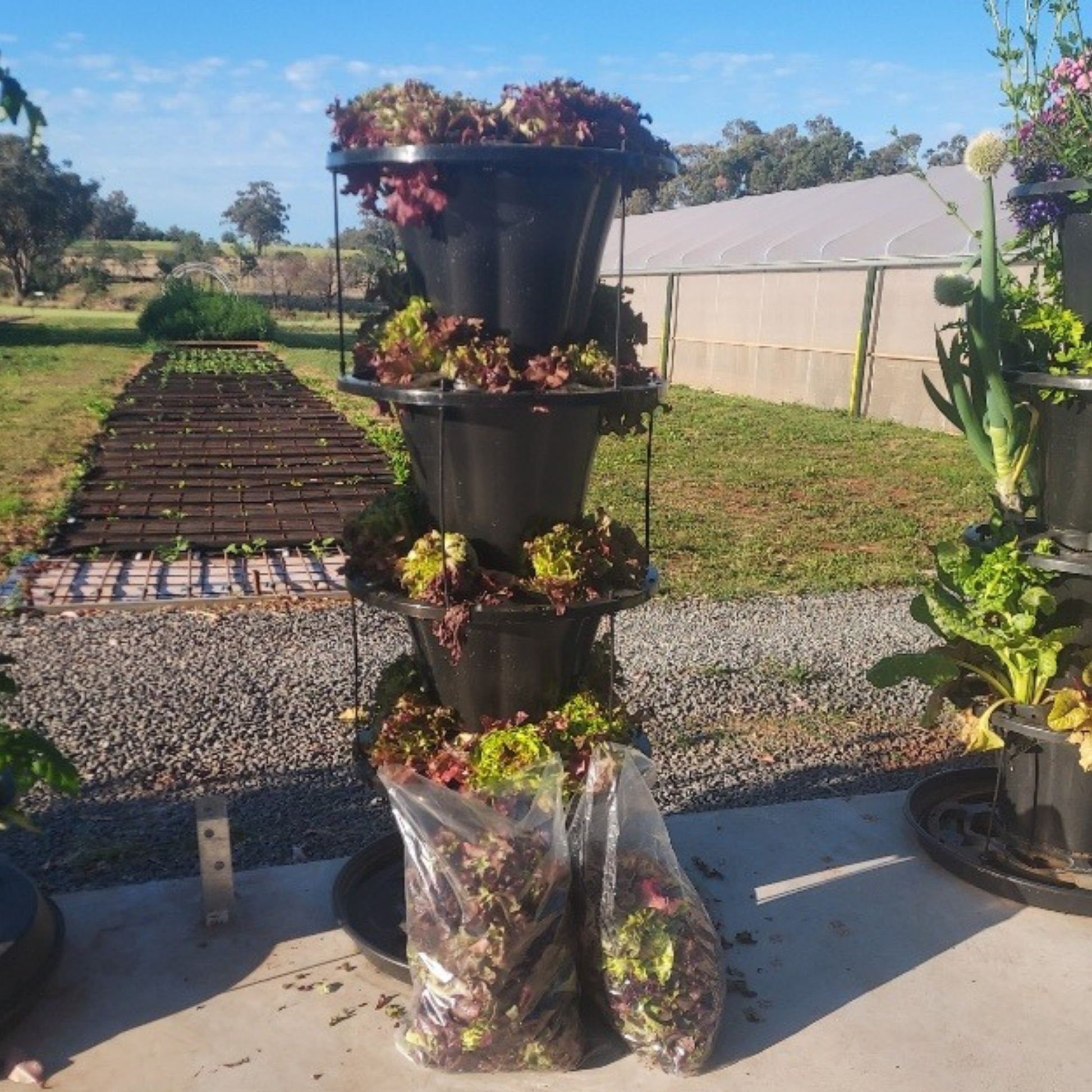 VERTI-POTS™ Vertical Growing Towers